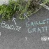 Initiation : Sauvages de ma rue