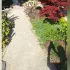 Atelier Photogaphier le jardin japonais d'Ichikawa