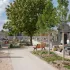 Allée du cimetière