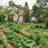 Jardins partagés : succombez à l’agriculture urbaine  !