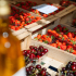 Marchés municipaux et commerces de proximité : les Isséens plébiscitent des lieux de vie essentiels 