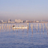 Port de pêche à Ichikawa