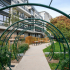 Ouverture du jardin Niedermeyer, nouveau jardin public à Issy 